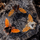 Jewel Scarab Beetle in Flight Pin