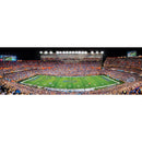 Florida Gators - 1000 Piece Panoramic Jigsaw Puzzle
