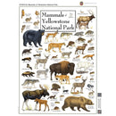 Mammals of Yellowstone National Park 1000 Piece Jigsaw Puzzle