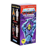 Masters of the Universe Blind Box Snake Mountain ReAction Figure - 1 Blind Box Toys & Games ToyShnip 