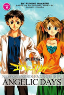 Neon Genesis Evangelion Angelic Days Vol 6