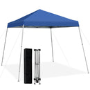 10 x 10 Feet Outdoor Instant Pop-up Canopy with Carrying Bag