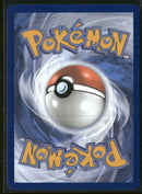 Pikachu - Scarlet & Violet Promo Cards - 214 - Near Mint