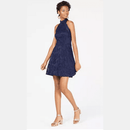 B Darlin Women's Juniors Lace Fit & Flare Dress, Size 13/14