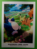 Pokémon Card Sleeve (Single Sleeve)
