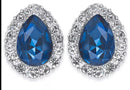 Charter Club Crystal and Stone Earrings, Silver Tone