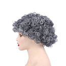 Curly Afro Wigs Synthetic Kinky Curly Wig Short Kinky Curly Wig for Black Women