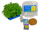 K-12 STEM Microgreen Kit - Classroom Bundle Student Grow Kit