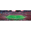 Atlanta Falcons - 1000 Piece Panoramic Jigsaw Puzzle - Center View