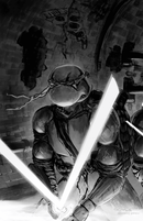 Teenage Mutant Ninja Turtles #147 - Lightning Comix Exclusive - Trio Bundle