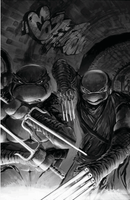 Teenage Mutant Ninja Turtles #148 - Lightning Comix Exclusive - Trio Bundle