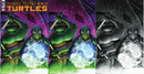 Teenage Mutant Ninja Turtles #149 - Lightning Comix Exclusive - Trio Bundle