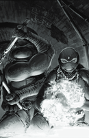 Teenage Mutant Ninja Turtles #149 - Lightning Comix Exclusive - Trio Bundle