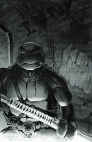 Teenage Mutant Ninja Turtles #150 - Lightning Comix Exclusive - Trio Bundle