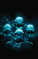Teenage Mutant Ninja Turtles: The Last Ronin II-Re-Evolution #1 - Life and Death Set by Joe Doyle