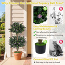 2 Pack 36" Artificial Double Ball Boxwood Topiary Tree with 41 Blossoms