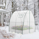 6 x 6 x 6.6 FT Outdoor Wall-in Tunnel Greenhouse