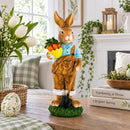 Farmer Bunny with Carrots Shovel Figurine - Spring Home Decor 8.9 Inches