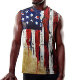 Men's Plus Size Sleeveless 3D Retro Print Vest