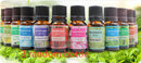Plant aromatherapy essential oil