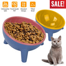 Raised Tilted Elevated Cat Food Bowl Pet Backflow Prevention Water Dish Feeding Bowl for Cats Small Dogs