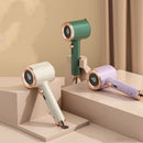 Mini Portable Garment Steamer