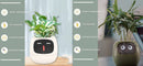 Smart AI Planter with Expressions and Sensors