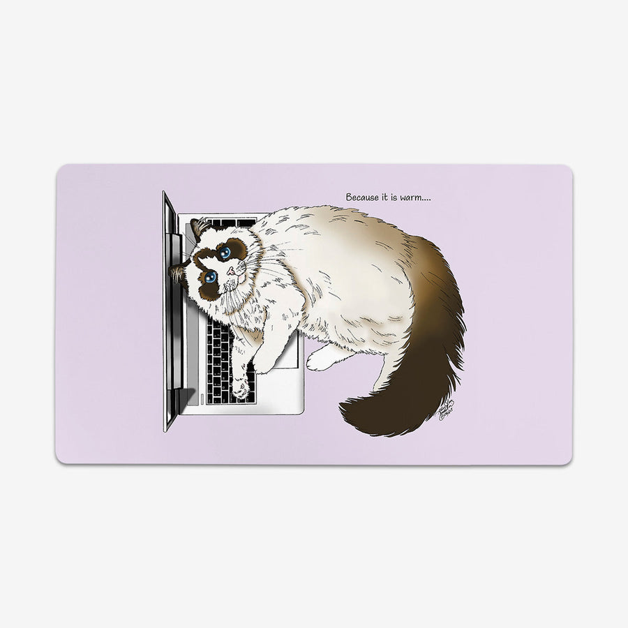 Laptop Cat Playmat