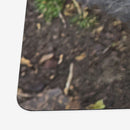 Absolute GOAT Playmat