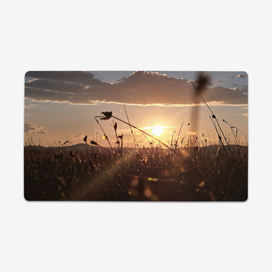 Field Of Spiders Playmat