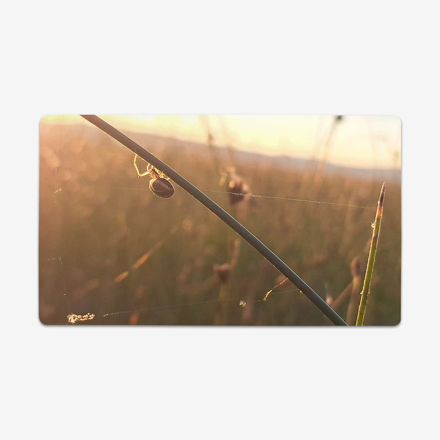 Spiderday Playmat