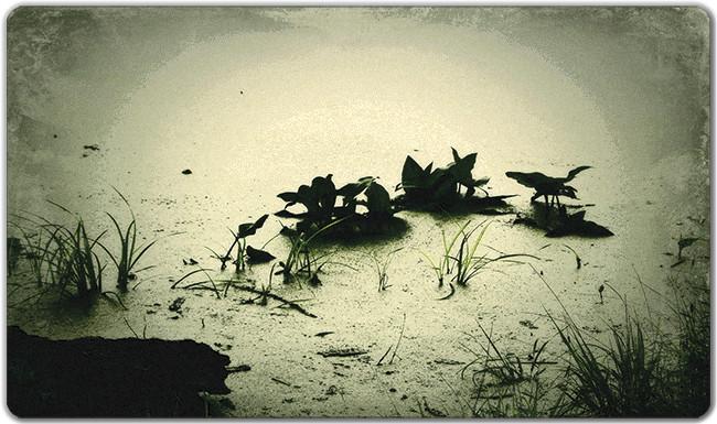 Swamp Water Playmat