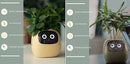 Smart AI Planter with Expressions and Sensors
