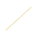 14k Yellow Gold Lite Anchor Chain (3.00 mm)