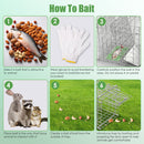 31×12×11" Heavy-Duty Folding Animal Trap | Humane Catch-and-Release Cage