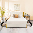 Full Size/Queen Size Upholstered Bed Frame with Adjustable Headboard and 4 Drawers