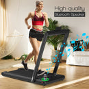 2-in-1 Folding Treadmill with Dual LED Display
