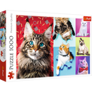 1000 Piece Jigsaw Puzzles, Happy Cats, Pets, Silly Animals, Cats and Kittens, Adult Puzzles, Trefl 10591
