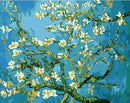 Best Pictures DIY Digital Oil Painting