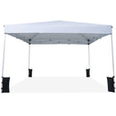10 x 10 Feet Pop up Canopy Tent with Carrying Bag and 4 Sandbags