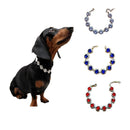 Rhinestone Rhinestone Dog Necklace Jewelry
