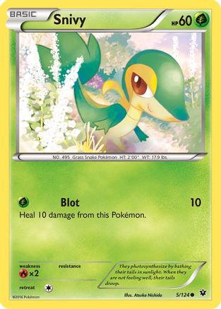 Snivy 005/124 - XY  Fates Collide Reverse Holofoil