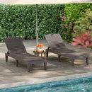 Outdoor PP Chaise Lounge Chairs Set of 2 with 4-Position Adjustable Backrests