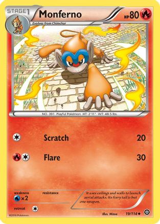 Monferno 019/114 - XY  Steam Siege Reverse Holofoil