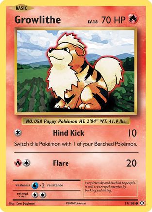 Growlithe 017/108 - XY  Evolutions