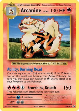 Arcanine 018/108 - XY  Evolutions Reverse Holofoil