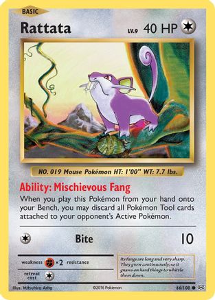 Rattata 066/108 - XY  Evolutions