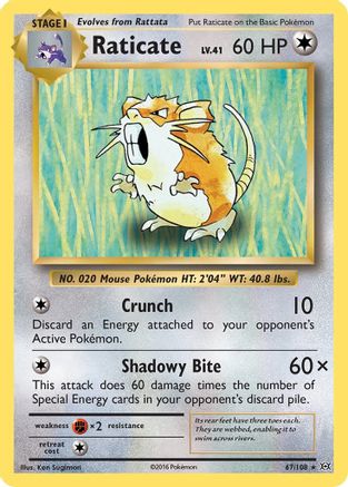 Raticate 067/108 - XY  Evolutions Reverse Holofoil