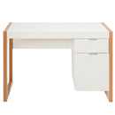 Modern Computer Desk