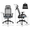 Height Adjustable Ergonomic High Back Mesh Office Chair with Hange